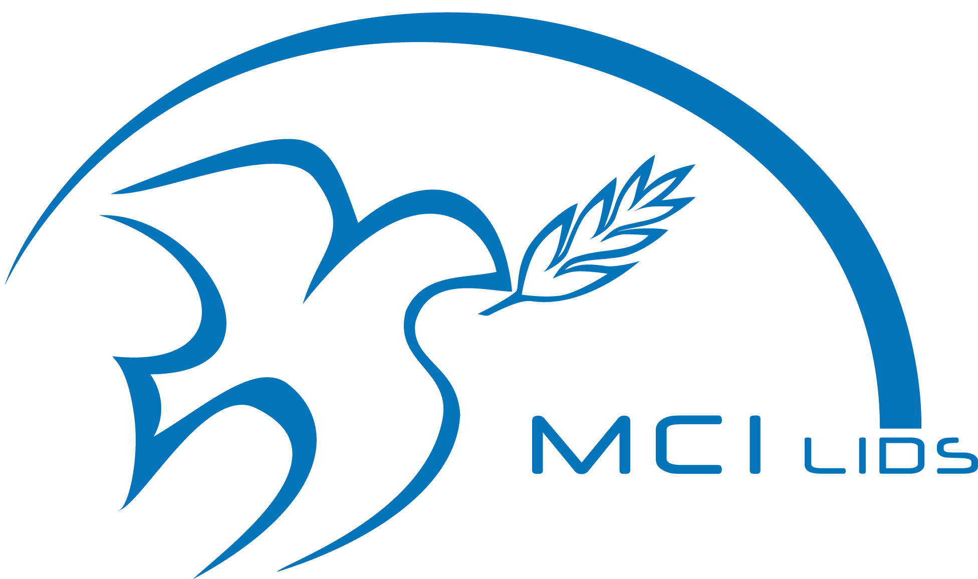 MCI LIDS